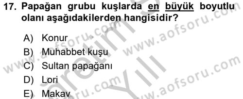 Temel Klinik Bilgisi Dersi 2016 - 2017 Yılı 3 Ders Sınav Soruları 17. Soru
