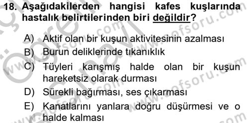 Temel Klinik Bilgisi Dersi 2016 - 2017 Yılı 3 Ders Sınav Soruları 18. Soru