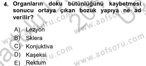 Temel Klinik Bilgisi Dersi 2016 - 2017 Yılı 3 Ders Sınav Soruları 4. Soru