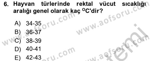 Temel Klinik Bilgisi Dersi 2016 - 2017 Yılı 3 Ders Sınav Soruları 6. Soru