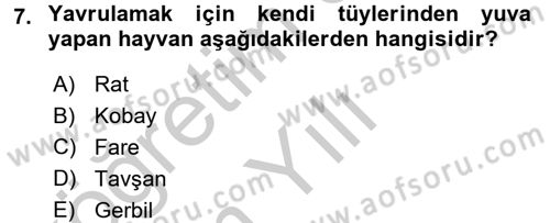 Temel Klinik Bilgisi Dersi 2016 - 2017 Yılı 3 Ders Sınav Soruları 7. Soru