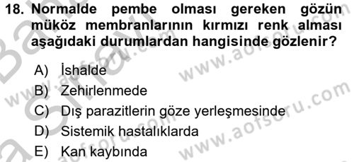 Temel Klinik Bilgisi Dersi 2016 - 2017 Yılı (Vize) Ara Sınavı 18. Soru