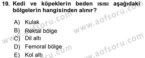 Temel Klinik Bilgisi Dersi 2016 - 2017 Yılı (Vize) Ara Sınavı 19. Soru