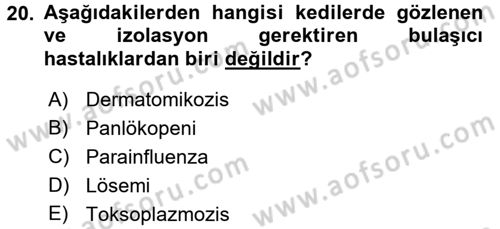 Temel Klinik Bilgisi Dersi 2016 - 2017 Yılı (Vize) Ara Sınavı 20. Soru