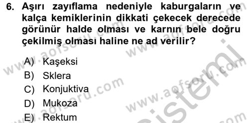 Temel Klinik Bilgisi Dersi 2016 - 2017 Yılı (Vize) Ara Sınavı 6. Soru