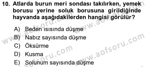 Temel Klinik Bilgisi Dersi 2016 - 2017 Yılı (Final) Dönem Sonu Sınav Soruları 10. Soru