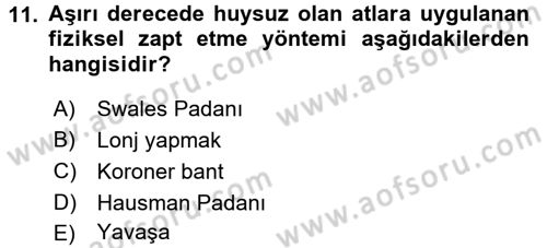 Temel Klinik Bilgisi Dersi 2016 - 2017 Yılı (Final) Dönem Sonu Sınav Soruları 11. Soru