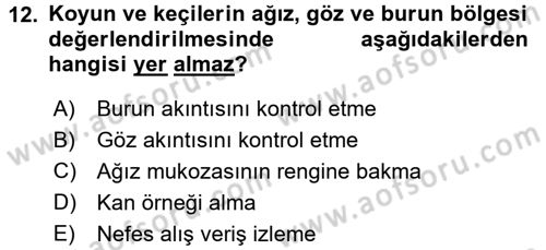 Temel Klinik Bilgisi Dersi 2016 - 2017 Yılı (Final) Dönem Sonu Sınav Soruları 12. Soru