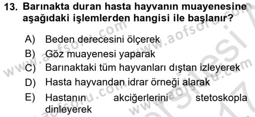 Temel Klinik Bilgisi Dersi 2016 - 2017 Yılı (Final) Dönem Sonu Sınav Soruları 13. Soru