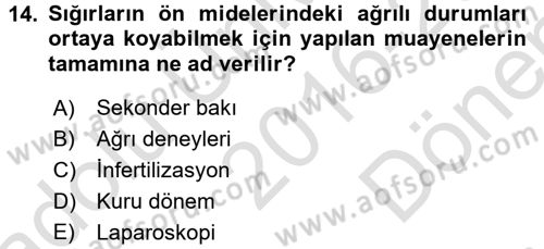 Temel Klinik Bilgisi Dersi 2016 - 2017 Yılı (Final) Dönem Sonu Sınav Soruları 14. Soru