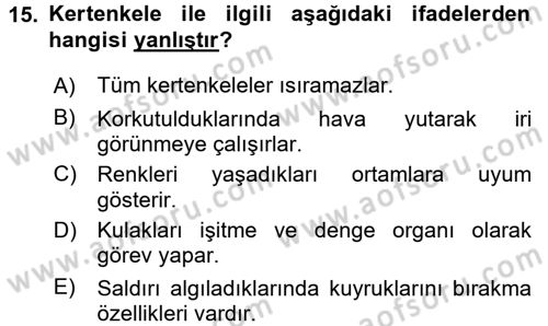 Temel Klinik Bilgisi Dersi 2016 - 2017 Yılı (Final) Dönem Sonu Sınav Soruları 15. Soru
