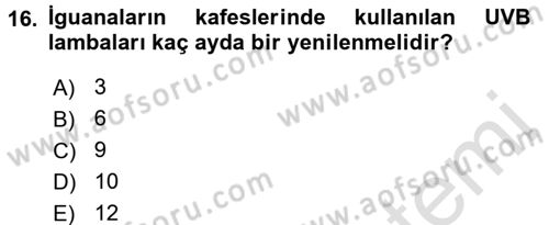 Temel Klinik Bilgisi Dersi 2016 - 2017 Yılı (Final) Dönem Sonu Sınav Soruları 16. Soru