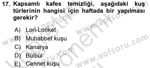 Temel Klinik Bilgisi Dersi 2016 - 2017 Yılı (Final) Dönem Sonu Sınav Soruları 17. Soru