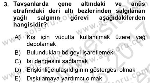 Temel Klinik Bilgisi Dersi 2016 - 2017 Yılı (Final) Dönem Sonu Sınav Soruları 3. Soru