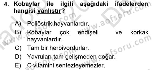 Temel Klinik Bilgisi Dersi 2016 - 2017 Yılı (Final) Dönem Sonu Sınav Soruları 4. Soru