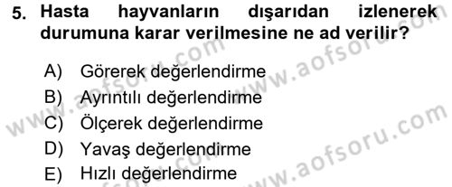 Temel Klinik Bilgisi Dersi 2016 - 2017 Yılı (Final) Dönem Sonu Sınav Soruları 5. Soru