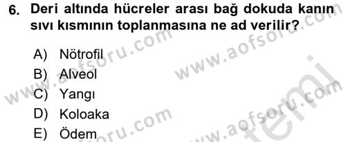Temel Klinik Bilgisi Dersi 2016 - 2017 Yılı (Final) Dönem Sonu Sınav Soruları 6. Soru