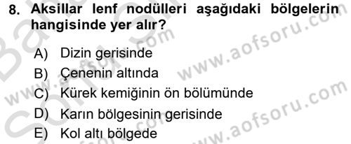 Temel Klinik Bilgisi Dersi 2016 - 2017 Yılı (Final) Dönem Sonu Sınav Soruları 8. Soru
