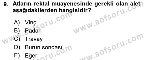 Temel Klinik Bilgisi Dersi 2016 - 2017 Yılı (Final) Dönem Sonu Sınav Soruları 9. Soru