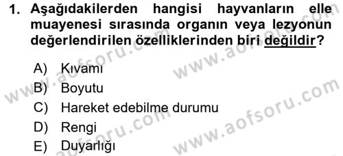 Temel Klinik Bilgisi Dersi 2017 - 2018 Yılı 3 Ders Sınav Soruları 1. Soru