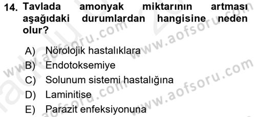 Temel Klinik Bilgisi Dersi 2017 - 2018 Yılı 3 Ders Sınav Soruları 14. Soru