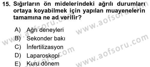 Temel Klinik Bilgisi Dersi 2017 - 2018 Yılı 3 Ders Sınav Soruları 15. Soru