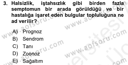 Temel Klinik Bilgisi Dersi 2017 - 2018 Yılı 3 Ders Sınav Soruları 3. Soru