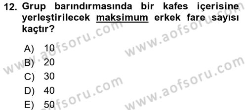 Temel Klinik Bilgisi Dersi 2017 - 2018 Yılı (Vize) Ara Sınav Soruları 12. Soru