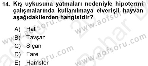 Temel Klinik Bilgisi Dersi 2017 - 2018 Yılı (Vize) Ara Sınav Soruları 14. Soru