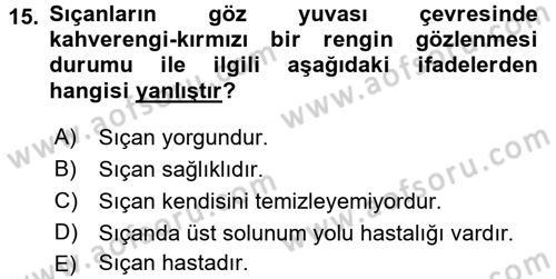 Temel Klinik Bilgisi Dersi 2017 - 2018 Yılı (Vize) Ara Sınav Soruları 15. Soru