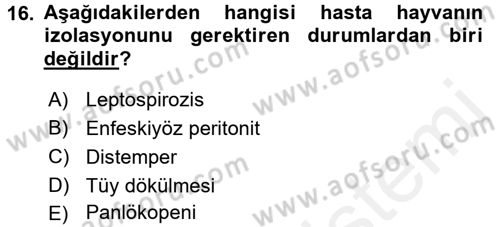 Temel Klinik Bilgisi Dersi 2017 - 2018 Yılı (Vize) Ara Sınav Soruları 16. Soru