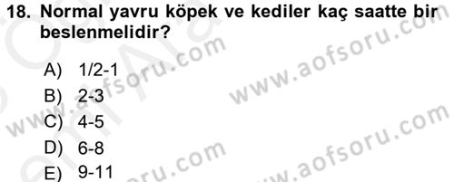 Temel Klinik Bilgisi Dersi 2017 - 2018 Yılı (Vize) Ara Sınav Soruları 18. Soru