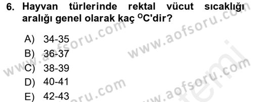 Temel Klinik Bilgisi Dersi 2017 - 2018 Yılı (Vize) Ara Sınav Soruları 6. Soru
