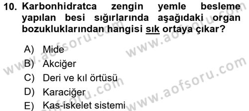 Temel Klinik Bilgisi Dersi 2017 - 2018 Yılı (Final) Dönem Sonu Sınav Soruları 10. Soru