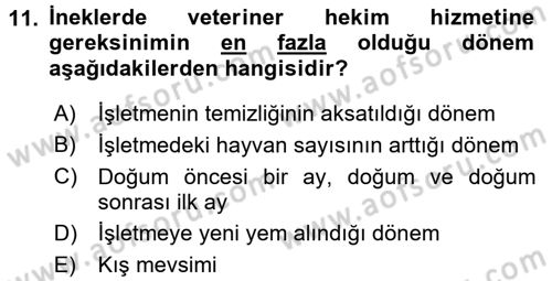 Temel Klinik Bilgisi Dersi 2017 - 2018 Yılı (Final) Dönem Sonu Sınav Soruları 11. Soru