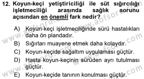 Temel Klinik Bilgisi Dersi 2017 - 2018 Yılı (Final) Dönem Sonu Sınav Soruları 12. Soru