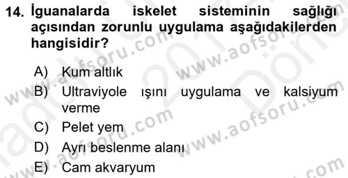 Temel Klinik Bilgisi Dersi 2017 - 2018 Yılı (Final) Dönem Sonu Sınav Soruları 14. Soru