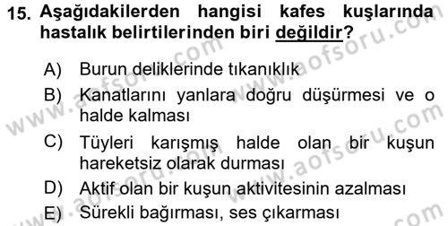 Temel Klinik Bilgisi Dersi 2017 - 2018 Yılı (Final) Dönem Sonu Sınav Soruları 15. Soru