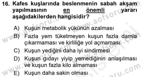 Temel Klinik Bilgisi Dersi 2017 - 2018 Yılı (Final) Dönem Sonu Sınav Soruları 16. Soru