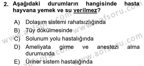 Temel Klinik Bilgisi Dersi 2017 - 2018 Yılı (Final) Dönem Sonu Sınav Soruları 2. Soru