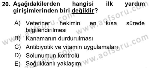 Temel Klinik Bilgisi Dersi 2017 - 2018 Yılı (Final) Dönem Sonu Sınav Soruları 20. Soru