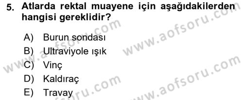 Temel Klinik Bilgisi Dersi 2017 - 2018 Yılı (Final) Dönem Sonu Sınav Soruları 5. Soru