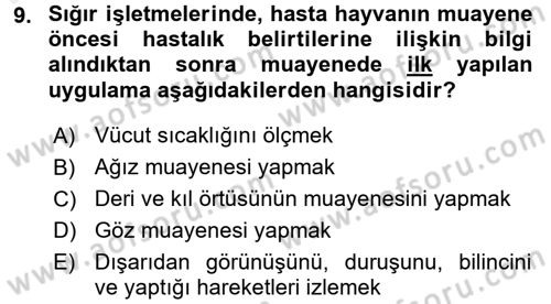 Temel Klinik Bilgisi Dersi 2017 - 2018 Yılı (Final) Dönem Sonu Sınav Soruları 9. Soru