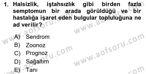 Temel Klinik Bilgisi Dersi 2018 - 2019 Yılı 3 Ders Sınav Soruları 1. Soru