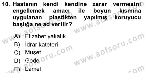 Temel Klinik Bilgisi Dersi 2018 - 2019 Yılı 3 Ders Sınav Soruları 10. Soru