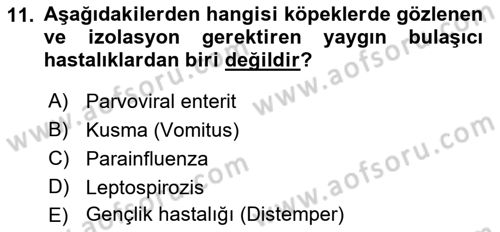 Temel Klinik Bilgisi Dersi 2018 - 2019 Yılı 3 Ders Sınav Soruları 11. Soru