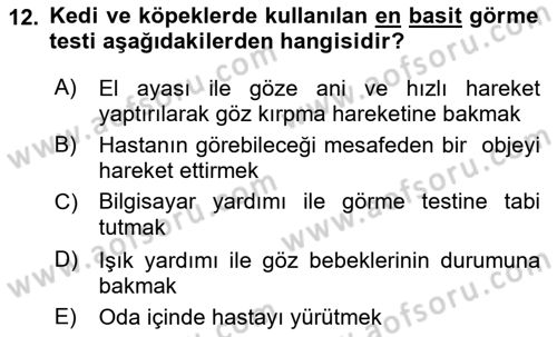 Temel Klinik Bilgisi Dersi 2018 - 2019 Yılı 3 Ders Sınav Soruları 12. Soru