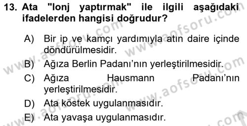 Temel Klinik Bilgisi Dersi 2018 - 2019 Yılı 3 Ders Sınav Soruları 13. Soru