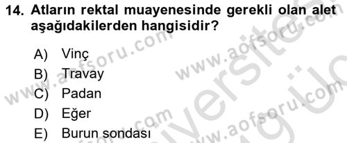 Temel Klinik Bilgisi Dersi 2018 - 2019 Yılı 3 Ders Sınav Soruları 14. Soru
