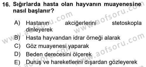 Temel Klinik Bilgisi Dersi 2018 - 2019 Yılı 3 Ders Sınav Soruları 16. Soru